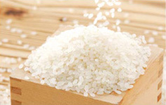 平禄の米